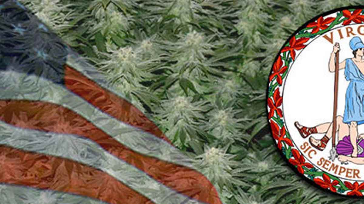 Growing Marijuana In Virginia: The Complete Guide - ILGM