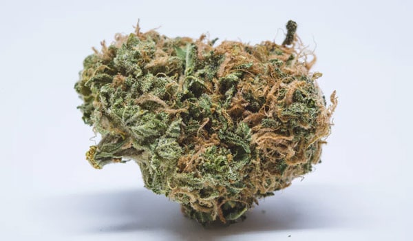 Banana OG Strain Medical