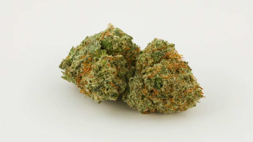 Critical Kush Strain