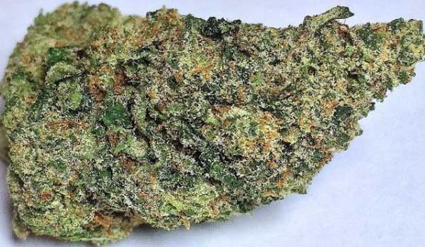 Extreme OG Strain Medical