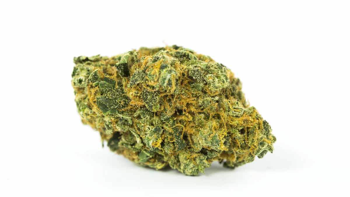 Fruit Loops Strain Review I Love Growing Marijuana