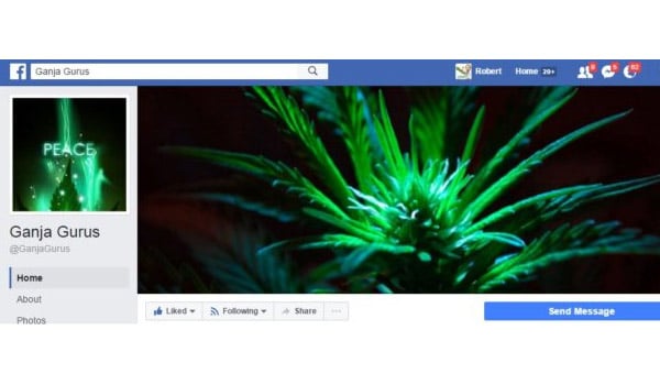 Ganja Gurus Facebook Page