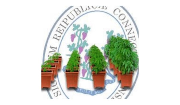 Grow marijuana in Connecticut