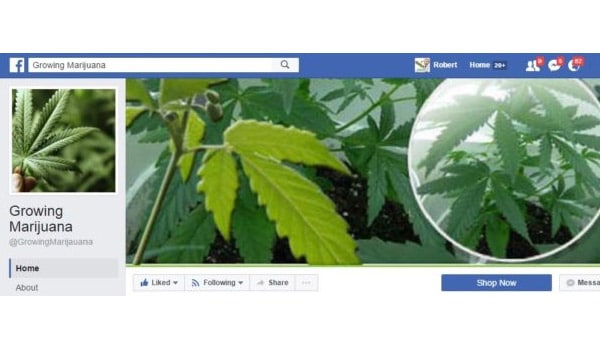 Growing Marijuana Facebook Page