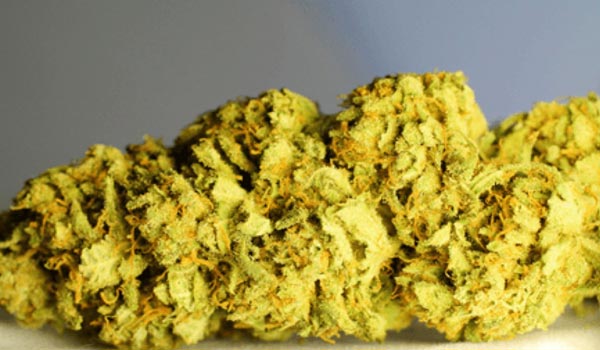 Rebel God Smoke Strain Effects