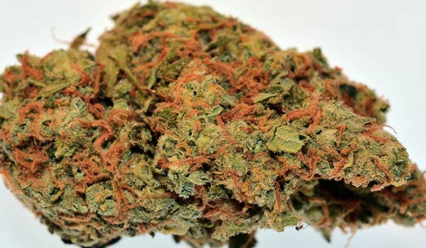 Super Lemon Haze Effects