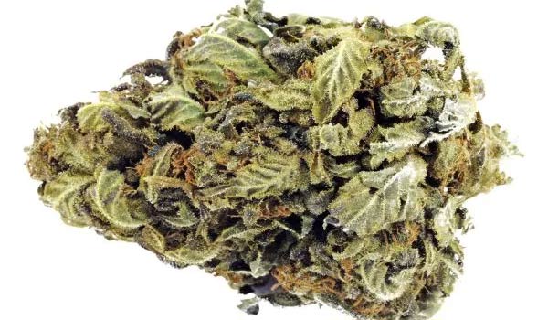 Super Lemon Haze Medical
