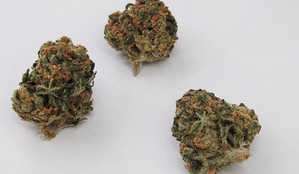 AK-47 Strain Medical