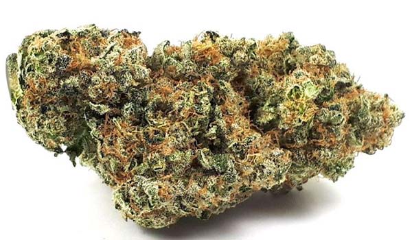 Amnesia Haze Effects
