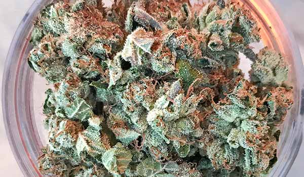 Anonymous OG Strain Medical