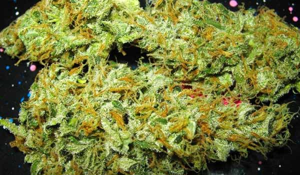 Aurora Indica Strain Effects