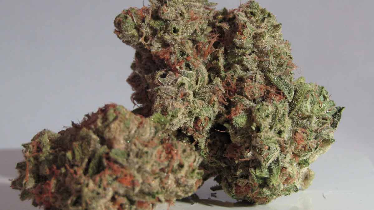 DJ Smoke Cannabis Strain Information & Review - ILGM
