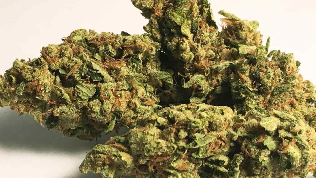 Strawberry OG Strain