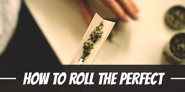 Joint Rolling 101 – How To Roll The Perfect Joint
