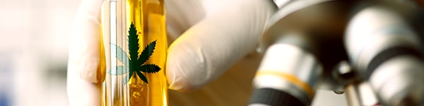 THC as Medicine