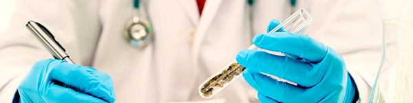 THC effect on human brain