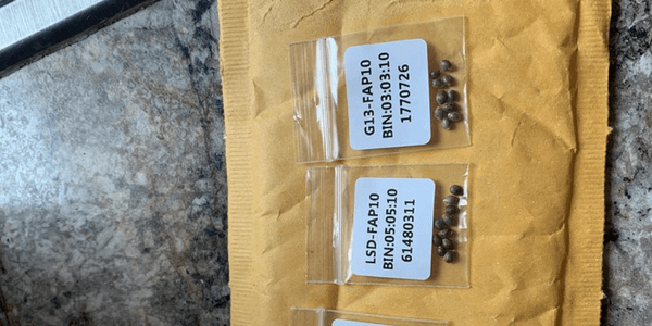 Marijuana seed package