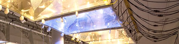 Lighting Considerations for a Cannabis Micro Grow