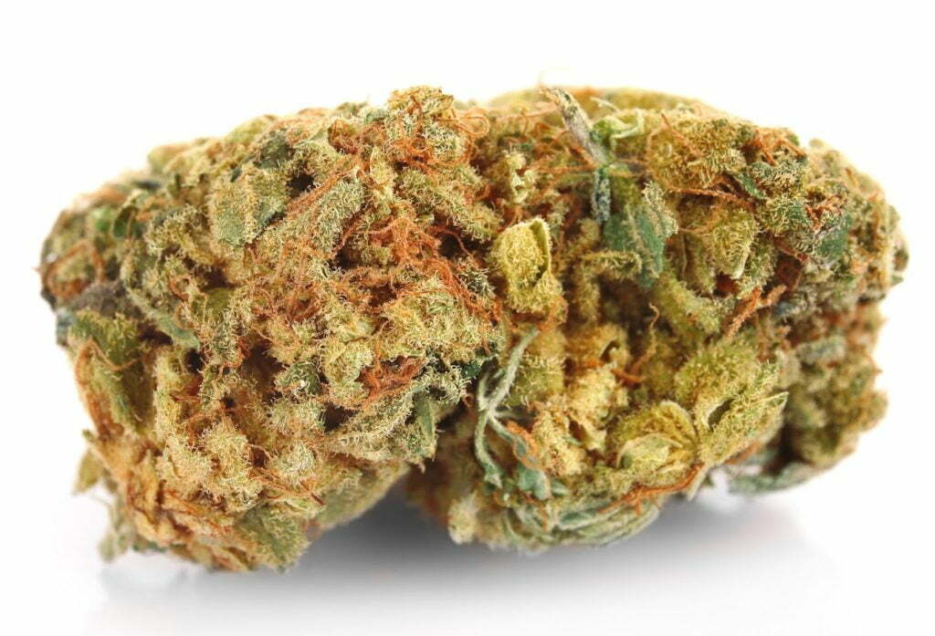 marijuana strain
