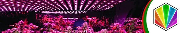 fs grow lights