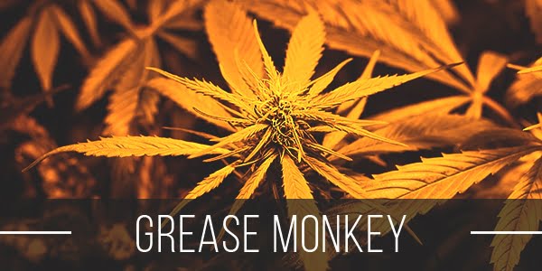 Grease Monkey