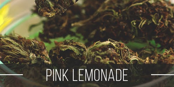 Pink Lemonade