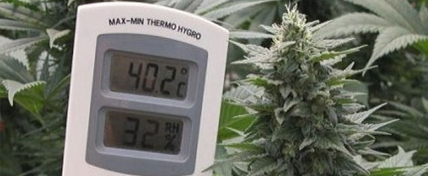 Temperature and Climate