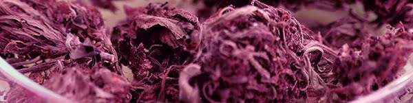 grape pie strain effects