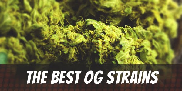 The Best OG Strains