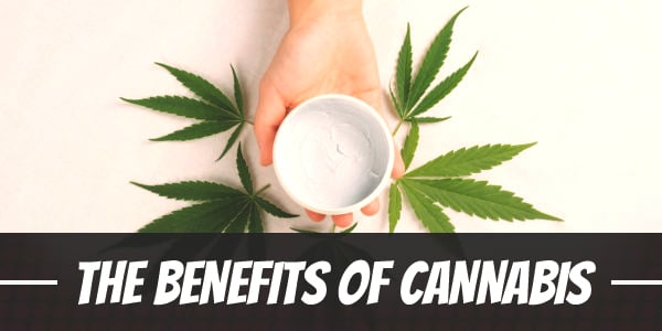 The Benefits of Cannabis Cream