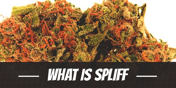 What is Spliff