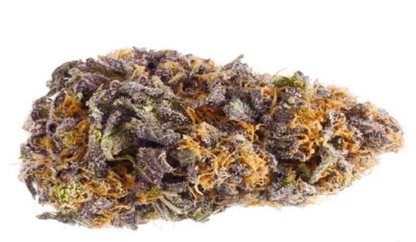 Granddaddy Purple Strain