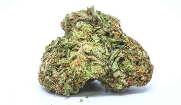 OG Kush Strain