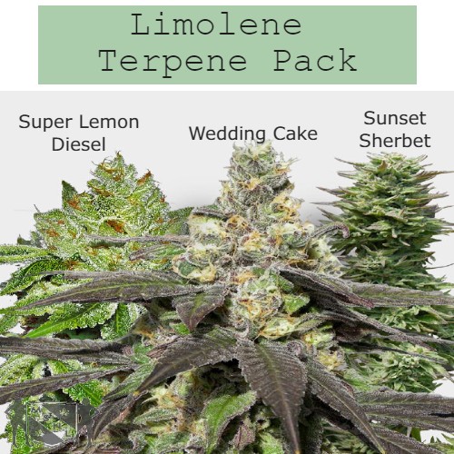 MSNL - Limolene Terpene Pack