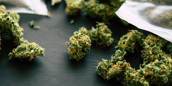 Animal Face Strain Adverse Reactions