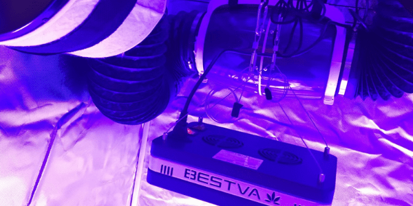 marijuana grow tent ventilation