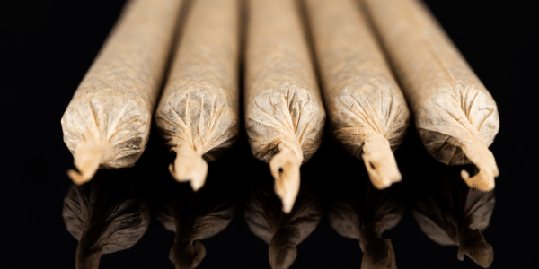 Types of Marijuana Joints
