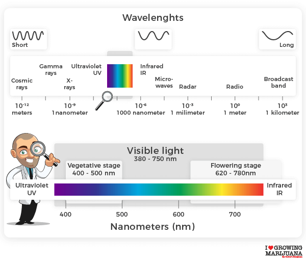 Spectrum Light for growing marijuana