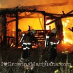 marijuana growing electricity fire