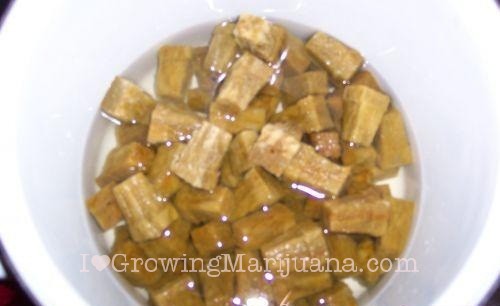 How to make cannabis cuttings