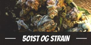 501st OG Strain