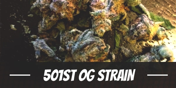 501st OG Strain