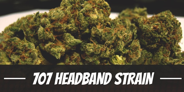 707 Headband Strain
