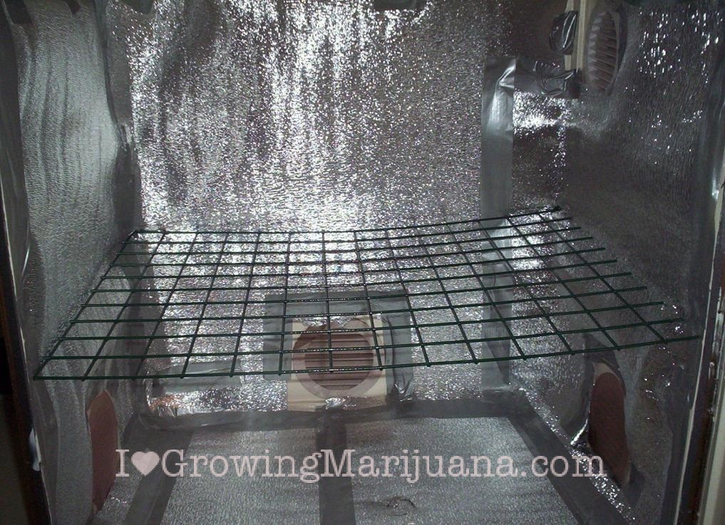 Distance scrog screen at 25 inch