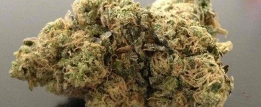 Afghan Hawaiian Effects