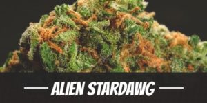 Alien Stardawg