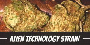 Alien Technology Strain