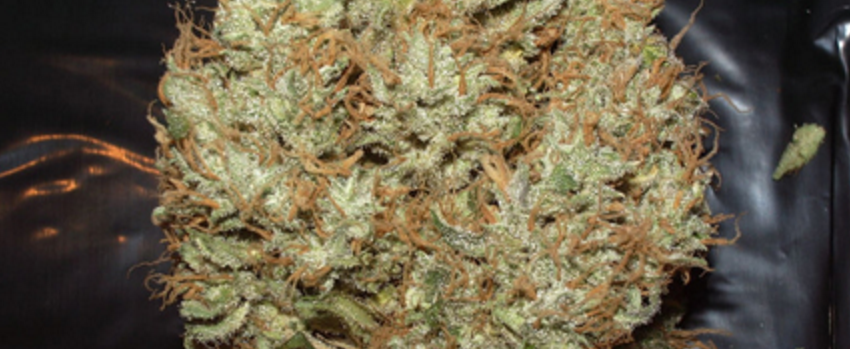 Atomic_Northern_LightsMedical