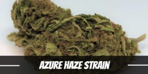 Azure Haze Strain