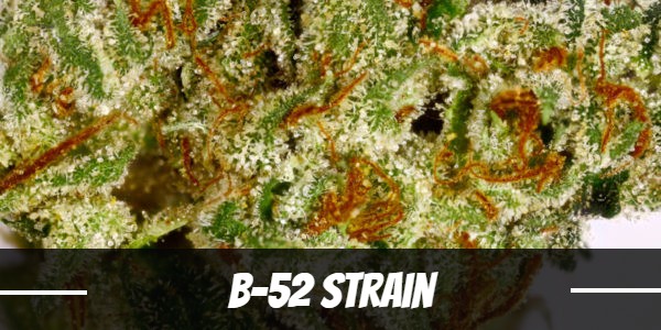 B-52 Strain